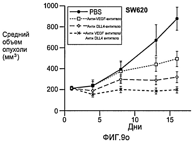 Антитела против dll4 и способы их применения (патент 2415869)