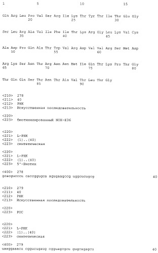 Связывающая мср-1 нуклеиновая кислота и ее применение (патент 2542973)