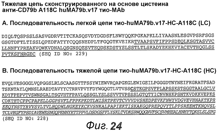 Анти-cd79b антитела и иммуноконъюгаты и способы их применения (патент 2553566)