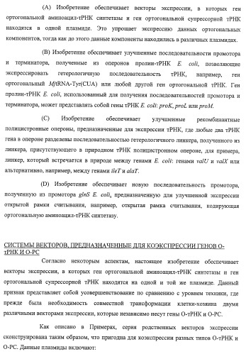 Система экспрессии компонентов ортогональной трансляции в эубактериальной клетке-хозяине (патент 2467069)