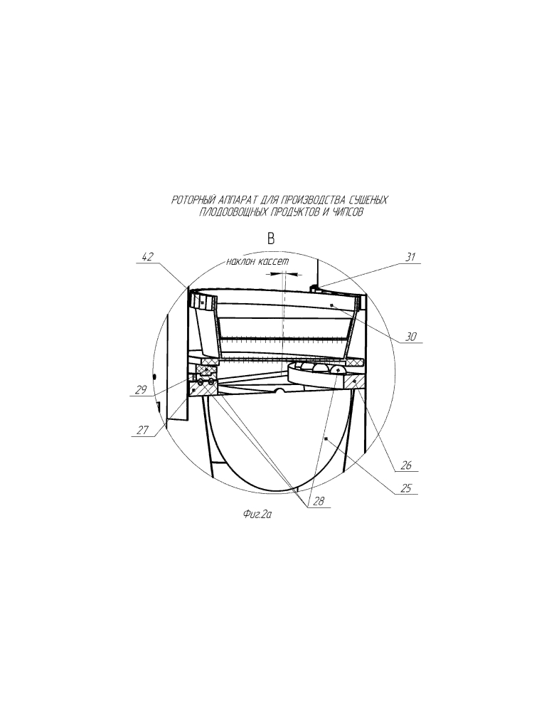 Роторный аппарат для производства сушеных плодоовощных продуктов и чипсов (патент 2602646)
