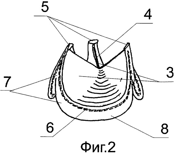 Биологический протез клапана сердца и способ его изготовления (патент 2355361)