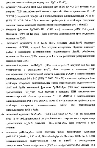 Способ производства 4-гидрокси-l-изолейцина или его соли (патент 2355767)