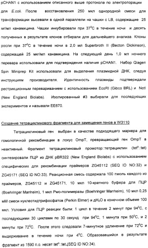 Продуцирование il-21 в прокариотических клетках-хозяевах (патент 2354703)