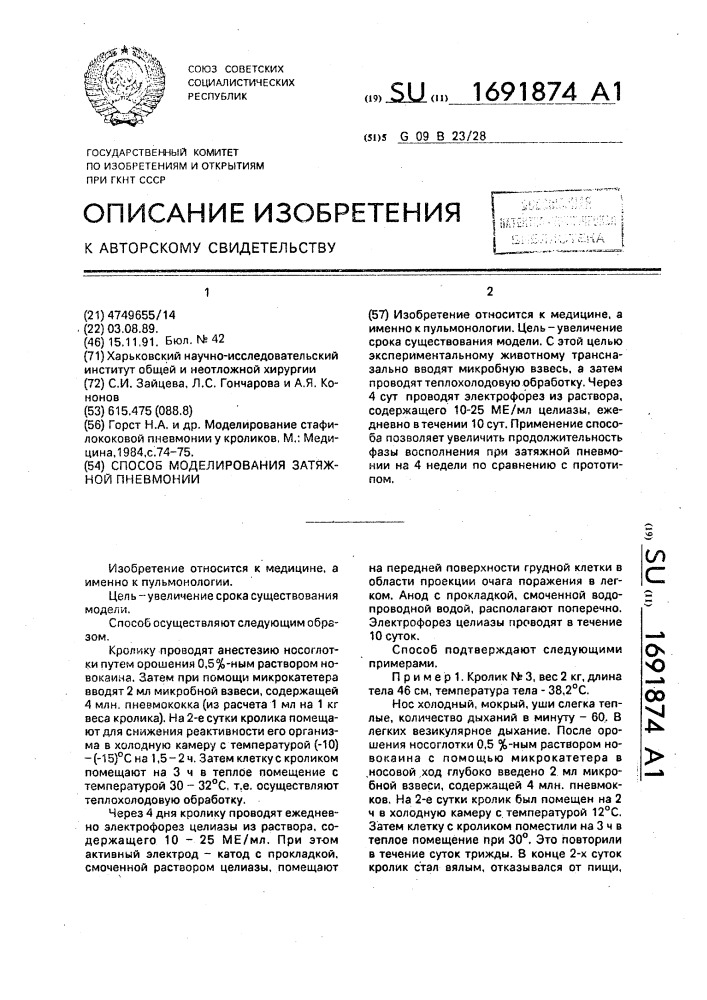 Способ моделирования затяжной пневмонии (патент 1691874)