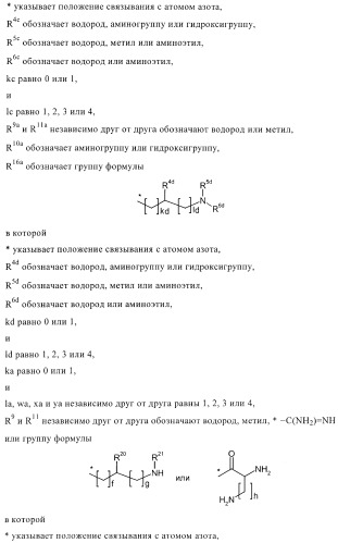 Бактерицидные содержащие амидные группы макроциклы v (патент 2409588)