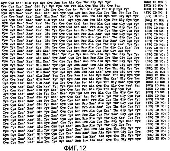 Полипептид для увеличения активности рецептора гуанилатциклазы, фармацевтическая композиция, способ лечения желудочно-кишечного расстройства у пациента, способ повышения активности рецептора гуанилатциклазы у пациента, способ лечения висцеральной боли, способ получения полипептида (варианты), изолированная молекула нуклеиновой кислоты, бактериальный вектор экспрессии и изолированная бактериальная клетка (патент 2433133)