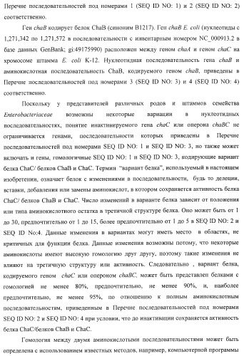 Способ получения l-треонина или l-аргинина с использованием бактерии, принадлежащей к роду escherichia, в которой инактивирован ген chac или оперон chabc (патент 2392327)