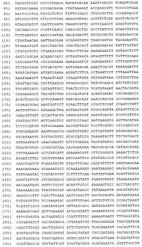 Терапевтические связывающие молекулы (патент 2328506)