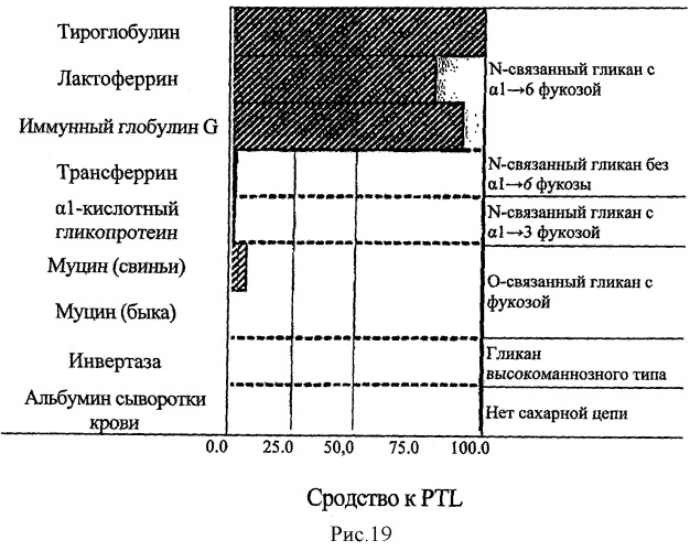 L-фукоза α1→6 специфичный лектин (патент 2524425)