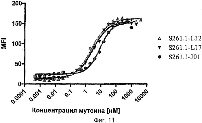 Мутеины липокалина слезной жидкости, обладающие аффинностью к с-мет рецепторной тирозинкиназе человека и способы их получения (патент 2515063)