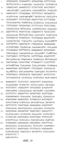 Варианты иммуноглобулинов и их применение (патент 2326127)