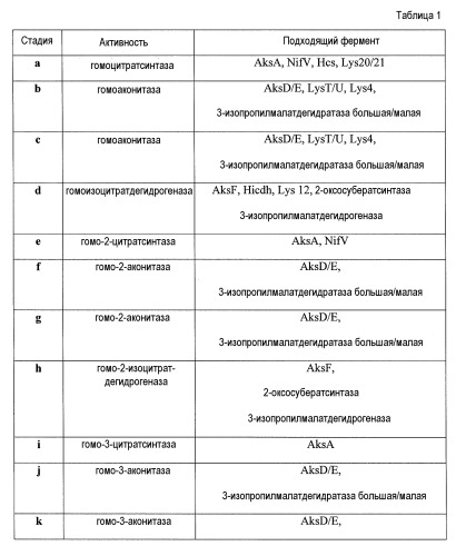 Биологический синтез дифункциональных алканов из альфа-кетокислот (патент 2496880)