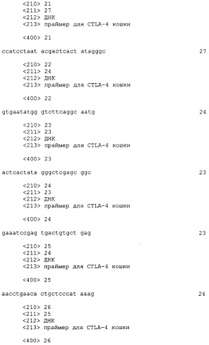 Нуклеиновые кислоты, кодирующие рецептор ctla-4 кошки, вектор, клетки-хозяева, вакцины, олигонуклеотиды, полипептиды ctla-4 кошки и способы индукции и подавления иммунного ответа у кошки (патент 2377302)