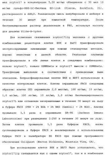 Новый лиганд рецептора цитокина zcytor17 (патент 2360923)
