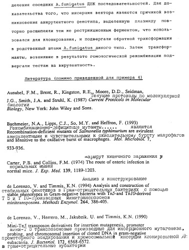 Vgc2 днк salmonella typhimurium, мутантная бактерия, обладающая пониженной способностью к адаптации к условиям окружающей среды, и способ ее получения (патент 2370541)