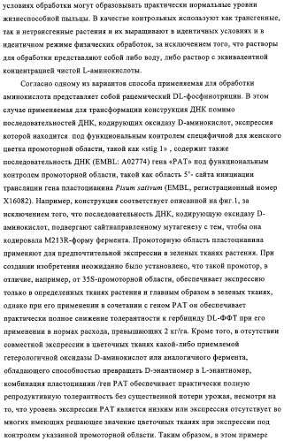 Способ избирательного получения растений с мужской или женской стерильностью (патент 2320722)