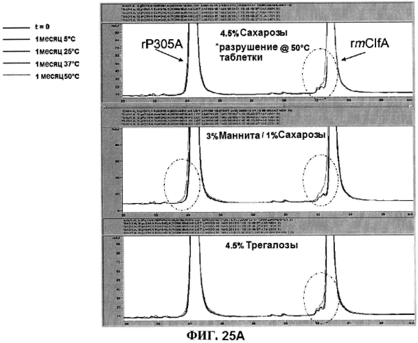 Стабильные иммуногенные композиции антигенов staphylococcus aureus (патент 2570730)