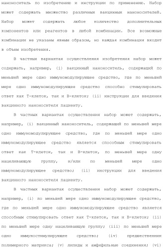 Включение адъюванта в иммунонанотерапевтические средства (патент 2496517)