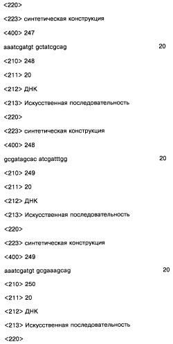 Соединение, содержащее кодирующий олигонуклеотид, способ его получения, библиотека соединений, способ ее получения, способ идентификации соединения, связывающегося с биологической мишенью (варианты) (патент 2459869)