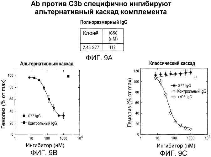 Антитела против c3b и способы профилактики и лечения связанных с комплементом нарушений (патент 2473563)