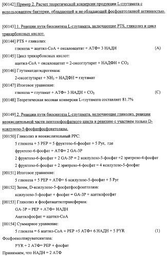 Использование фосфокетолазы для продукции полезных метаболитов (патент 2322496)