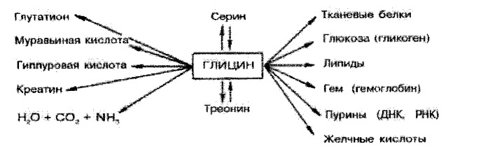 Биологически активное средство, влияющее на общеметаболические, возбуждающие и тормозные функции нервной системы и интеллектуально-мнестические функции головного мозга (варианты) (патент 2461374)