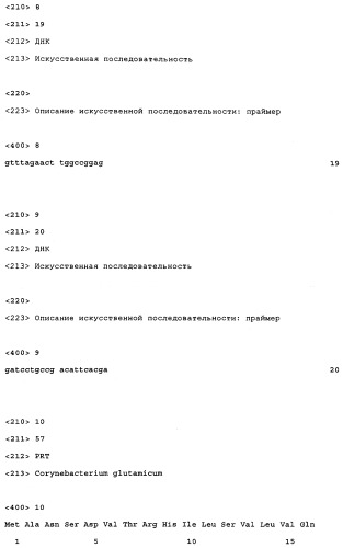 Мутанты синтетазы ацетооксикислот, устойчивые к обратной связи (патент 2325439)