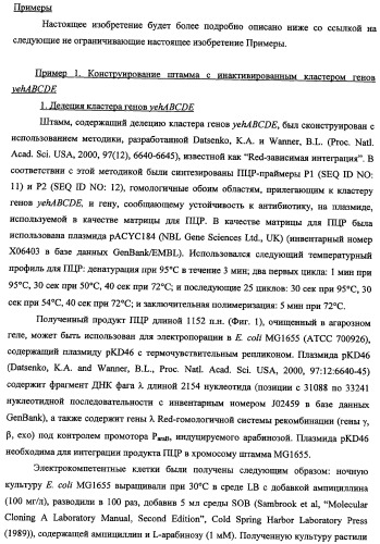 Способ получения l-треонина и l-аргинина с использованием бактерии, принадлежащей к роду escherichia, в которой инактивирован кластер генов yehabcde (патент 2337960)