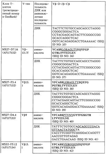 V-d-j олигонуклеотид т-клеточного рецептора, пара праймеров, олигонуклеотидный зонд, способ обнаружения клона mbp83-99v13.1 т-клеток, экспрессирующих мотив lgraglty т-клеточного рецептора, набор, способ лечения аутоиммунного заболевания и способ его мониторинга (патент 2251552)