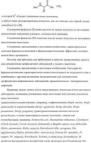 Бактерицидные содержащие амидные группы макроциклы v (патент 2409588)