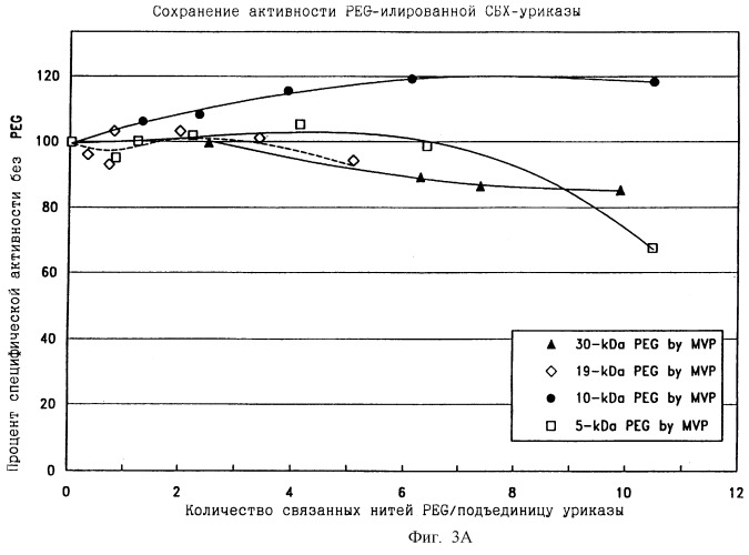 Конъюгаты peg-уриказы и их использование (патент 2246318)