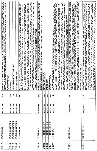 Pscaxcd3, cd19xcd3, c-metxcd3, эндосиалинxcd3, epcamxcd3, igf-1rxcd3 или fap-альфаxcd3 биспецифическое одноцепочечное антитело с межвидовой специфичностью (патент 2547600)