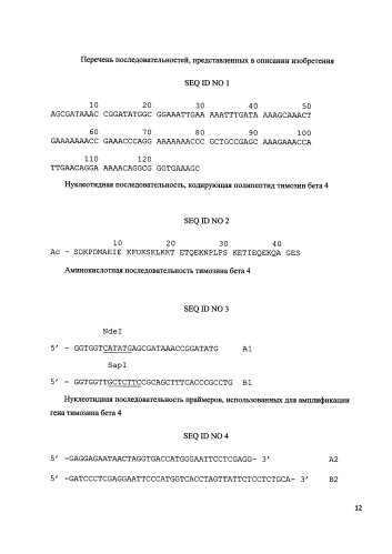 Рекомбинантная плазмидная днк per-tb4gyra-acser, кодирующая сериновую ацетилтрансферазу, способную in vivo ацетилировать n-концевой серин дезацетилтимозина β4 и гибридный белок, способный к автокаталитическому расщеплению с образованием тимозина β4 человека, штамм eschrichia coli c3030/per-tb4gyra-acser - продуцент указанных белков и способ получения генно-инженерного тимозина β4 человека (патент 2592860)