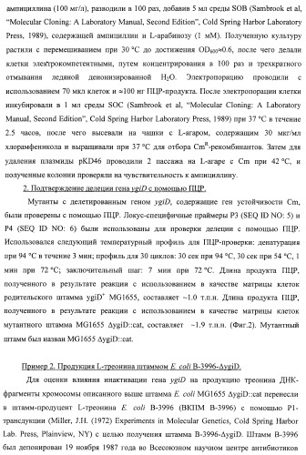 Способ получения l-треонина с использованием бактерии, принадлежащей к роду escherichia, в которой инактивирован ген ygid (патент 2396349)