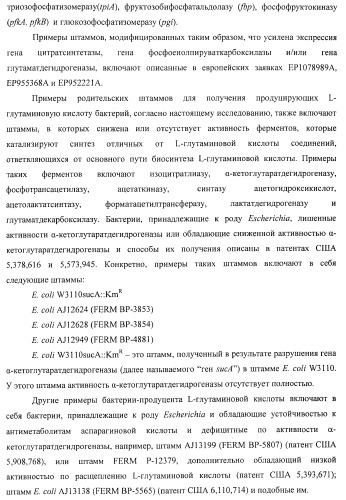 Способ получения l-треонина или l-аргинина с использованием бактерии, принадлежащей к роду escherichia, в которой инактивирован ген chac или оперон chabc (патент 2392327)