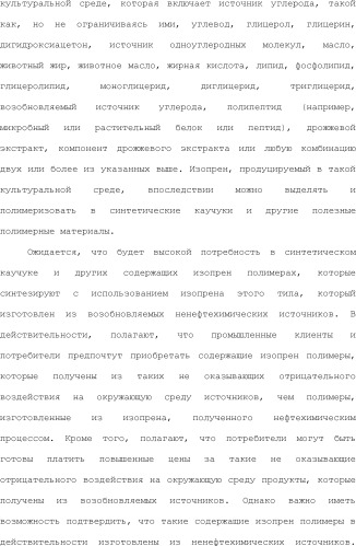 Полимеры изопрена из возобновляемых источников (патент 2505605)