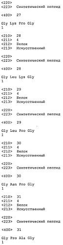 Пептидные фрагменты для индукции синтеза белков внеклеточного матрикса (патент 2501807)