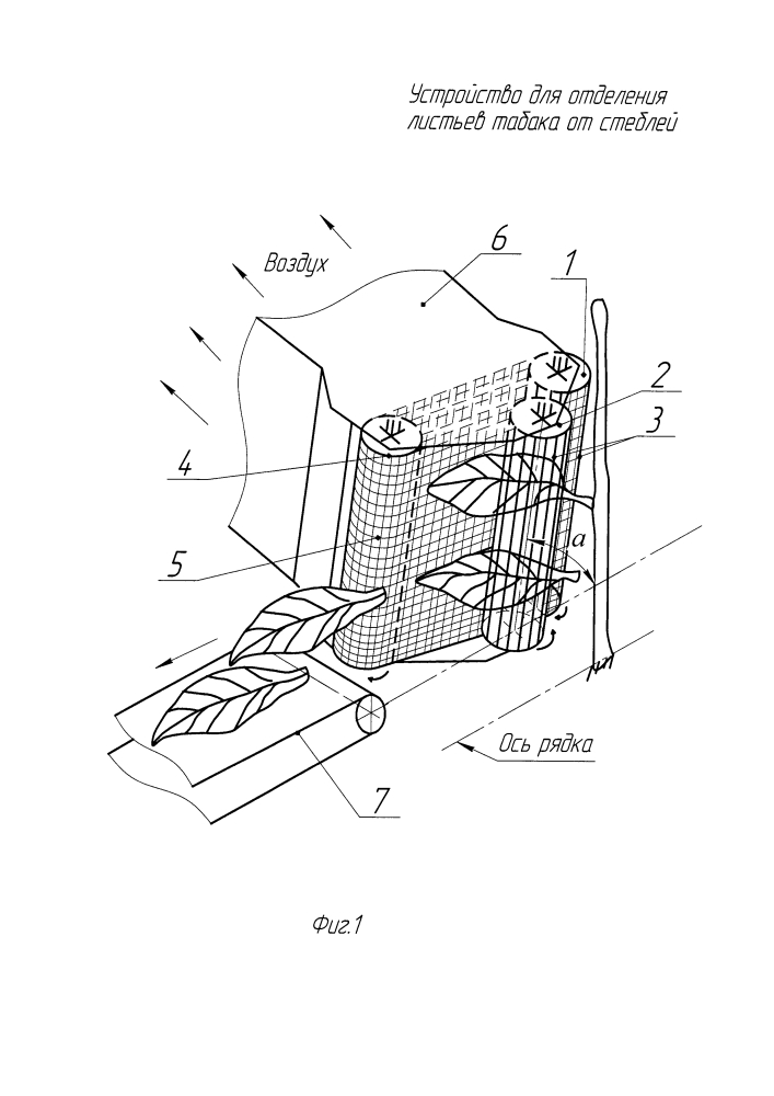 Устройство для отделения листьев табака от стеблей (патент 2612212)