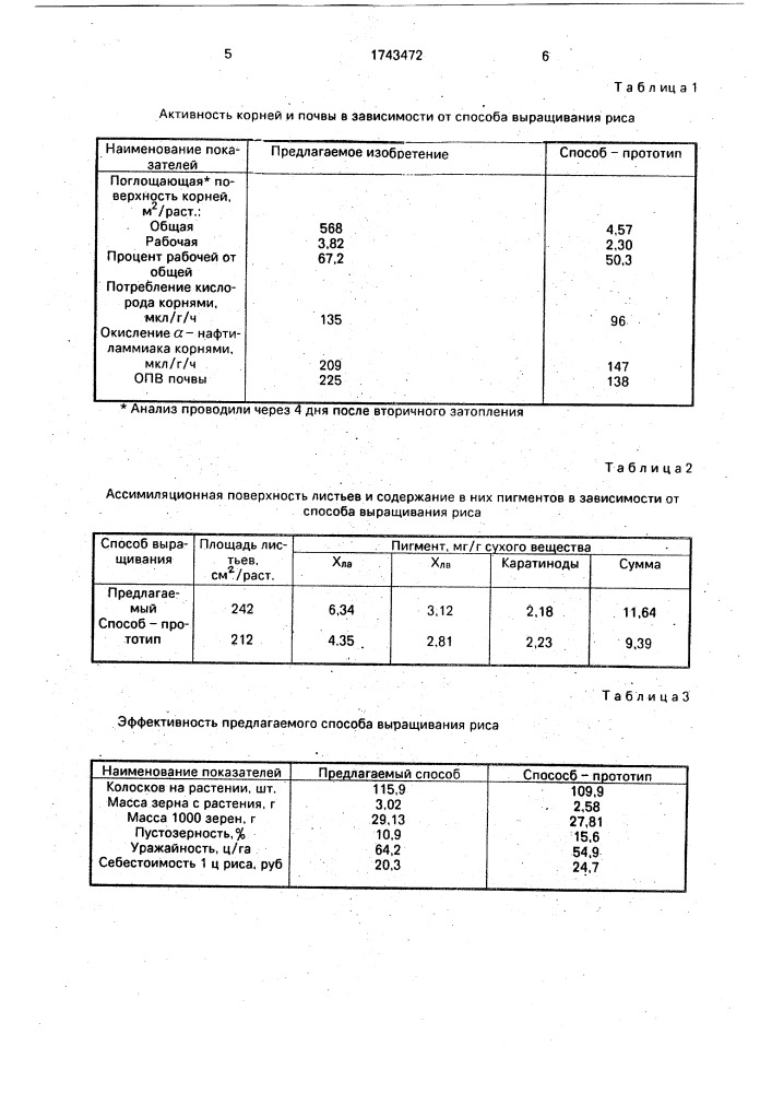 Способ возделывания риса (патент 1743472)