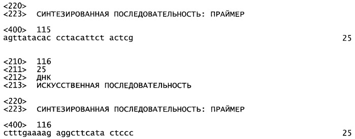 Гены и способы обеспечения устойчивости к фитофторозу пасленовых (патент 2511423)