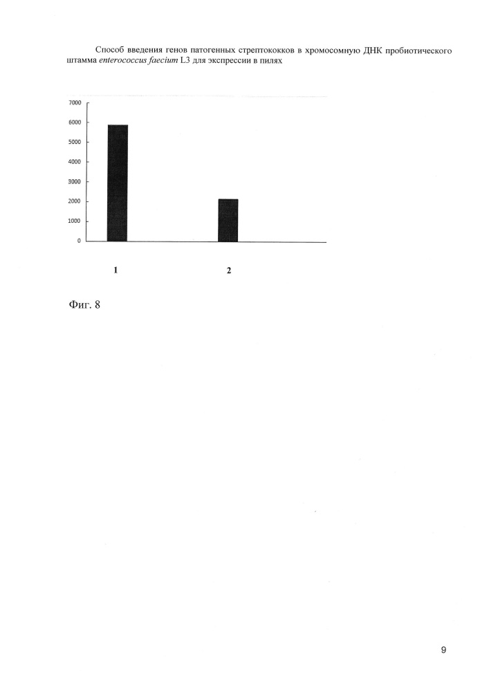 Способ введения генов патогенных стрептококков в хромосомную днк пробиотического штамма enterococcus faecium l3 для экспрессии в пилях (патент 2640250)