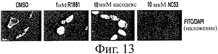 Диарилтиогидантоиновые соединения (патент 2449993)