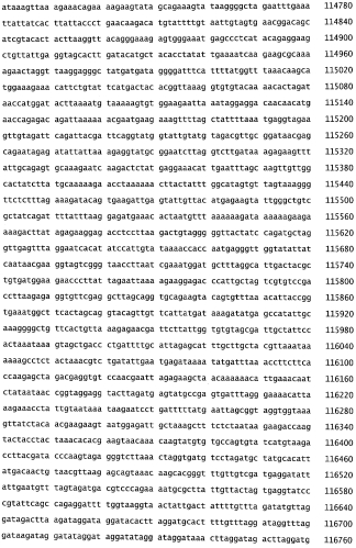 Бактериофаг, обладающий активностью против pseudomonas aeruginosa, белки бактериофага и способы их применения (патент 2580248)