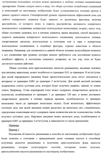 Кристаллические формы аналогов рапамицина (патент 2482119)