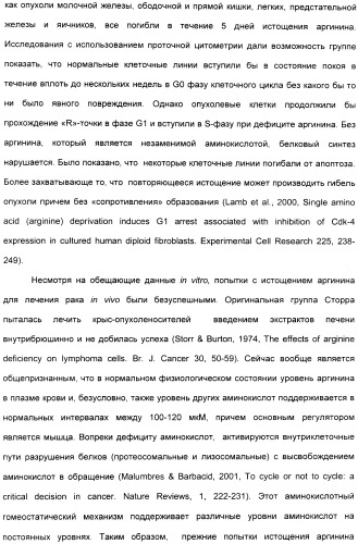 Фармацевтический препарат и способ лечения злокачественных опухолей у человека с помощью аргининовой депривации (патент 2335539)
