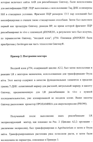 Растения с повышенной урожайностью и способ их получения (патент 2377306)