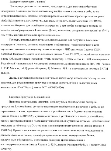 Способ получения аминокислот с использованием бактерии, принадлежащей к роду escherichia (патент 2396336)