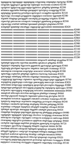 Модуляция экспрессии гентингтина (патент 2562861)