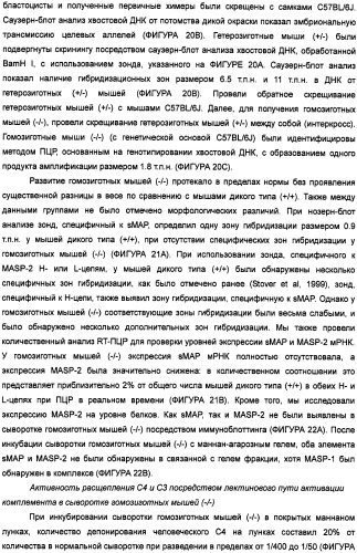 Способ лечения заболеваний, связанных с masp-2-зависимой активацией комплемента (варианты) (патент 2484097)